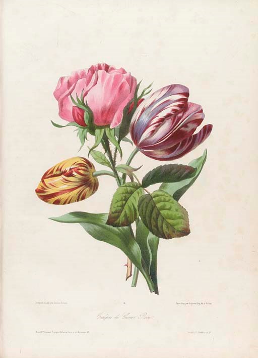 François Frédéric Grobon (1815-1901/1902) and Anthelme Eugène Grobon (1820-1878)