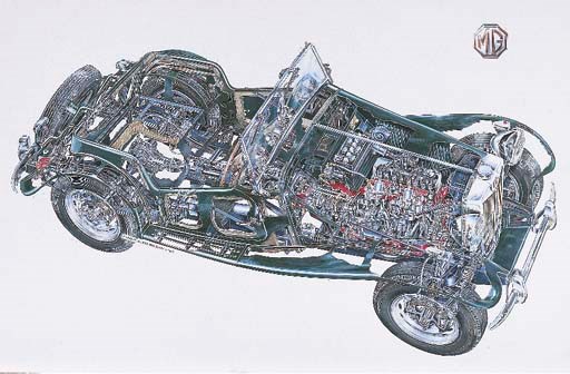 MG TD - 2 seater sports; 1953/54: full-colour cutaway, beautifully detailed; signed and dated 1996. 21x31ins (56x82cm)