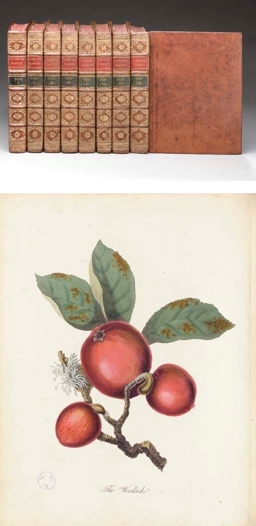 KERNER, Johann Simon (1755-1830). Figures des plantes économiques. Stuttgart: Christoph Friedrich Cotta [volume IV: l'auteur, and Strassburg: Librarie academique; volumes V and VI: l'Académie Caroline; volume VII: l'Imprimerie du Duc; and volume VIII: l'auteur and Gebrüdern Mäntler], 1786-1796.