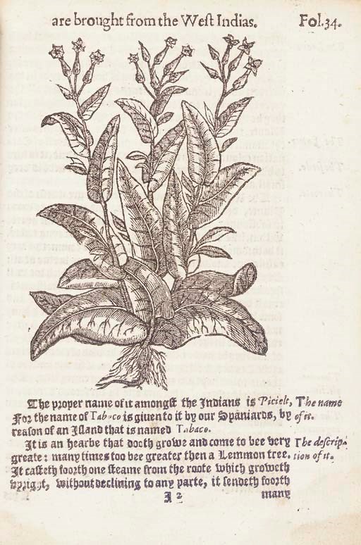 [MONARDES, Nicolas (1493-1588)]. Joyfull Newes Out of the New-found Worlde. Wherein are declared, the rare and singular vertues of divers Herbs, Trees, Plantes, Oyles & Stones, with their applications, as well to the use of Phisicke, as of Chirurgery...Also the portrature of the said Hearbs...Wherunto are added three other bookes treating of the Bezaar Stone, the herb Escuerconera, the properties of Iron and Steele in Medicine, and the benefit of Snow. London: E. Allde, by the assigne of Bonham Norton, 1596.