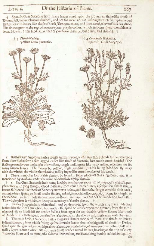GERARD, John (1545-1612). The Herball or generall Historie of Plantes ... very much enlarged and amended by Thomas Johnson. London: Adam Islip, Joice Norton and Richard Whitakers, 1636.