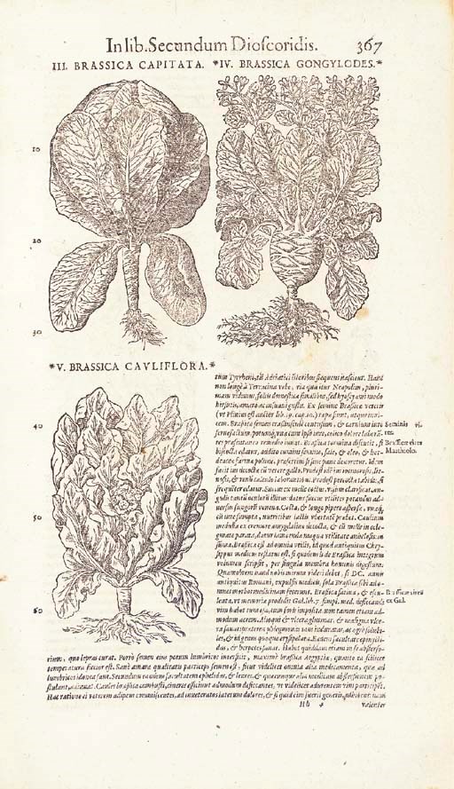 MATTIOLI, Pietro Andrea. Opera quae extant omnia. Frankfurt am Main: Nicoluas Bassaeus, 1598.