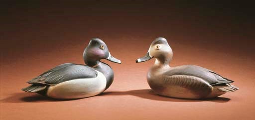 A PAIR OF RINGNECKS