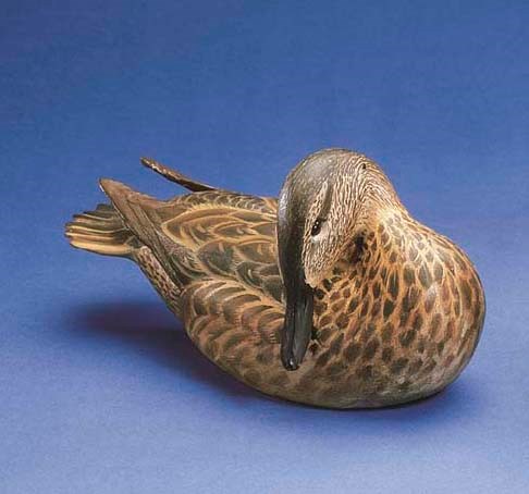 A GREENWING TEAL HEN