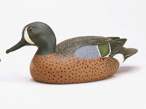 A BLUEWING TEAL DRAKE