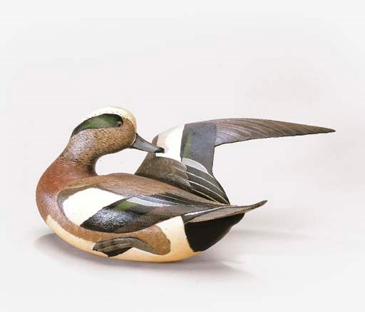 A WIDGEON DRAKE