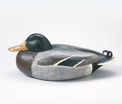 A MALLARD DRAKE