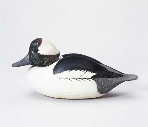 A BUFFLEHEAD DRAKE