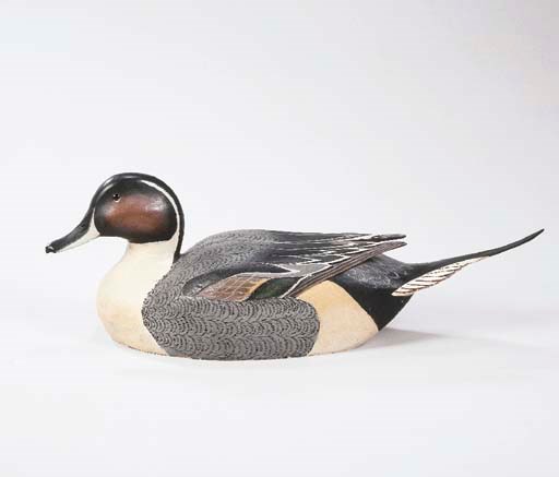 A PINTAIL DRAKE