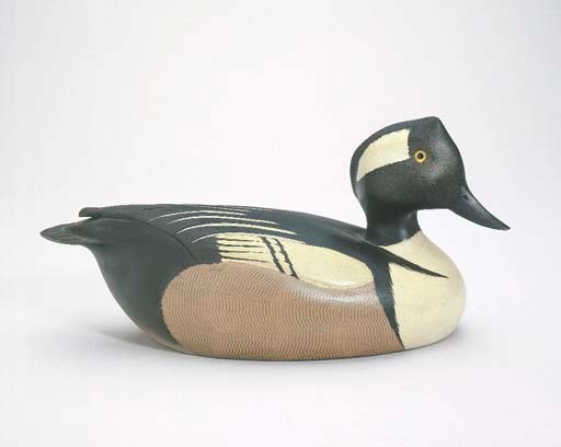 A HOODED MERGANSER DRAKE