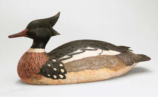 A REDBREASTED MERGANSER DRAKE