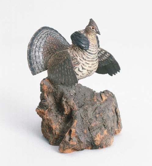 A RUFFED GROUSE