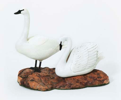 TWO TRUMPETER SWANS