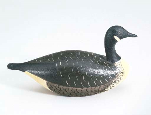 A CANADA GOOSE