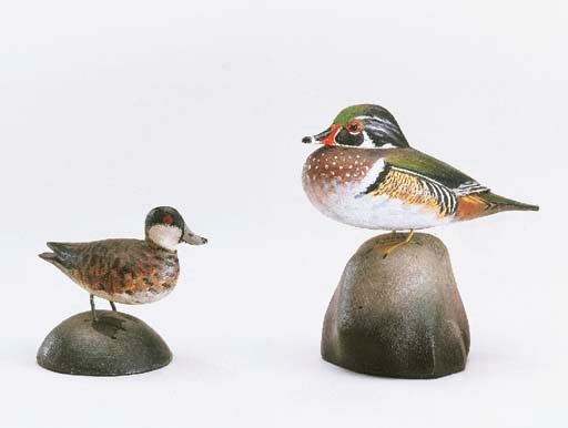 A WOOD DUCK AND A RUDDY DUCK