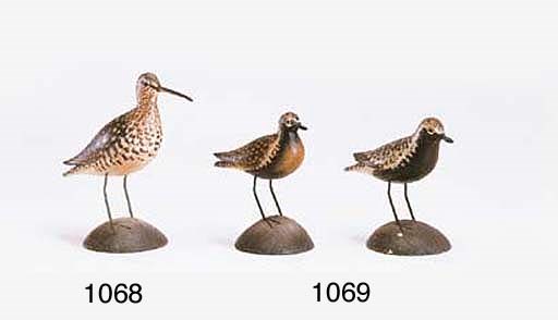 A HUDSONIAN CURLEW
