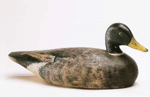 A MALLARD DRAKE