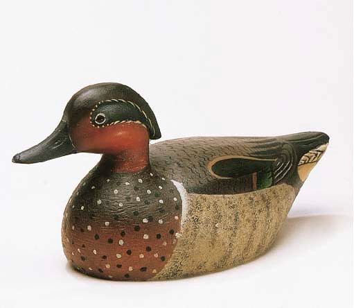 A GREENWING TEAL DRAKE