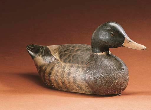 A MALLARD DRAKE