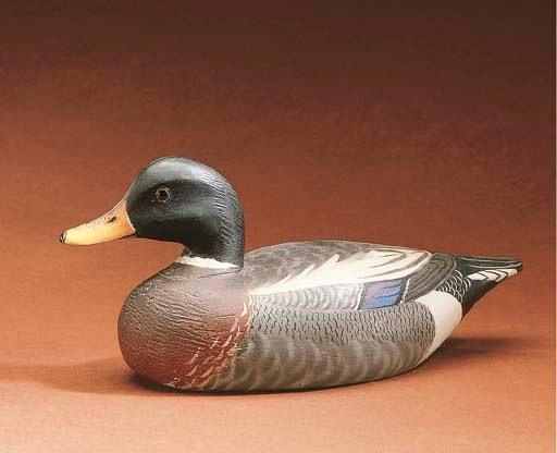 A MALLARD DRAKE