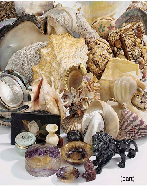 A collection of shells, specimen stones and various hard stone ornaments