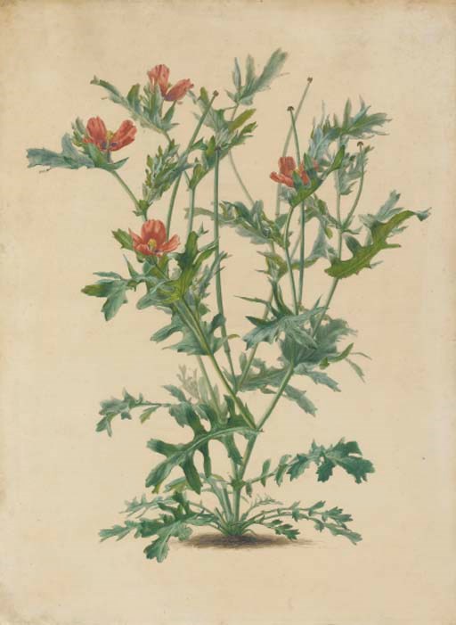 Alfred Riocreux (Actif au 19ème siècle)