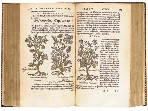 FUCHS, Leonhard (1501-1566). De historia stirpium commentarii insignes. Lyons: Balthazar Arnoullet, 1551.