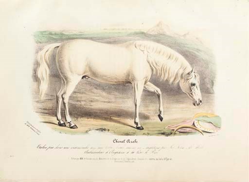 LOW, David (1786-1859). Histoire Naturelle-Agricole des Animaux Domestiques de l'Europe... Races de la Grande-Bretagne D'après les tableaux exécutés par M. Shiles... pour le Musée agricole de l'Unversité d'Edimbourg. Texte de David Low... Traduit de l'anglais et annoté par M. Roger. Paris; Pillet ainé for the Bureaudu Moniteur de la Propriété, 1846-1844-1844.