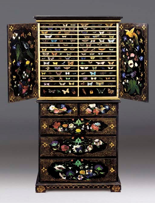 A CHINESE EXPORT POLYCHROME DECORATED COLLECTOR'S CABINET