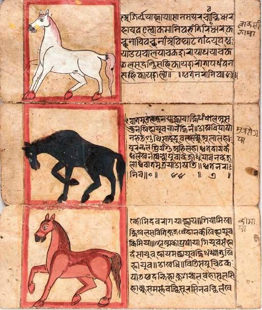 A Treatise on the Nature and Illnesses of Horses, Asvasastra