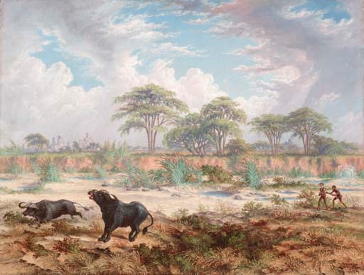 Thomas Baines (1820-1875)