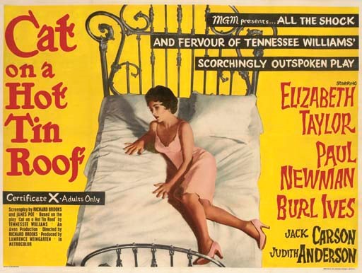 Cat On A Hot Tin Roof