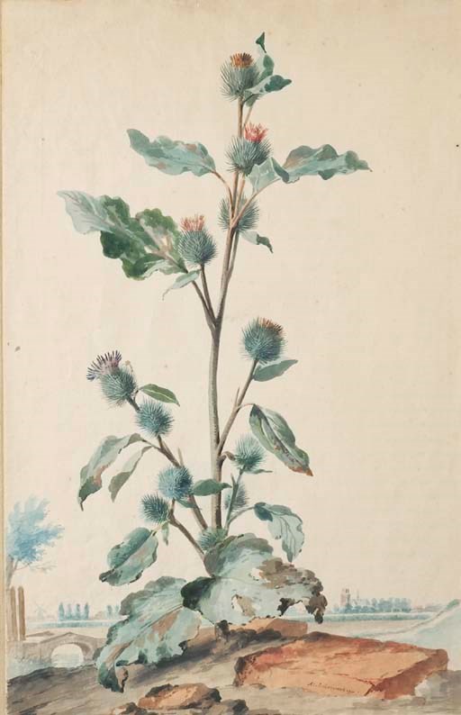 Aert Schouman (1710-1792)