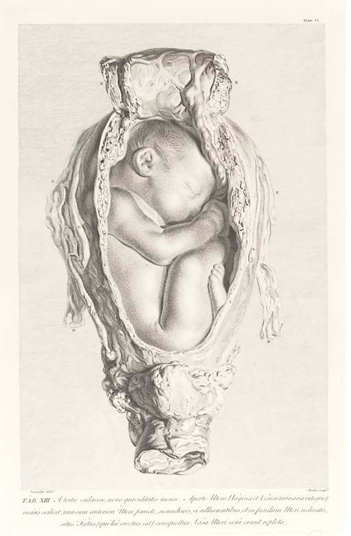 HUNTER, William (1718-83).  Anatomia uteri humani gravidi ... The Anatomy of the Human Gravid Uterus exhibited in Figures, Birmingham: John Baskerville, 1774. 2° (658 x 476mm).  Frontispiece portrait of John Haighton by J. Kennerly after H. Ashby, 34 engraved plates after Jan van Rymsdyk (fl. 18th century), Edward Edwards (1738-1806), Alexander Cozens (d. 1786) and Blakey, text printed in double columns in Latin and English. (Some light spotting, stronger towards the end, mainly marginal thumb-soiling, outer margin of plate 3 slightly cropped, new tissue guards.) Modern cloth. Provenance: Faculty of Physicians & Surgeons [of Glasgow] (bookplate).