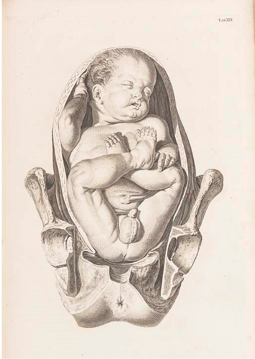 SMELLIE, William (1697-1763).  A Sett of Anatomical Tables, with Explanations, and an Abridgement, of the Practice of Midwifery, with a view to illustrate a treatise on that subject and collection of cases, London: 1754. 2° (540 x 372mm). 39 engraved plates by Grignion, 26 after drawings by Jan van Rymsdyk (d. c. 1789), 11 after Pieter Camper (1722-1789) and 2 after Smellie. (Title spotted, some light spotting or light marginal thumb-soiling, a few leaves with light offsetting from plates.) Contemporary half calf (worn). Provenance: Christ Church, Oxford (bookplate, scored and note added in manuscript: "sold Mar. 1882") -- Library of the Royal Faculty of Physicians and Surgeons of Glasgow (bookplate).
