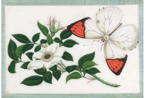 A set of six ricepaper paintings
19th century