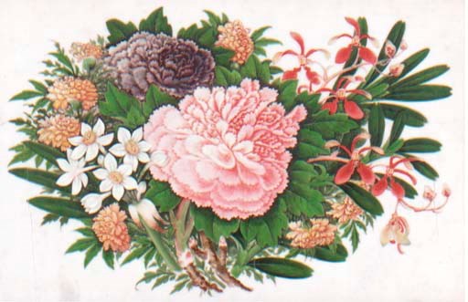 Eight Chinese export paintings on ricepaper, 19th century