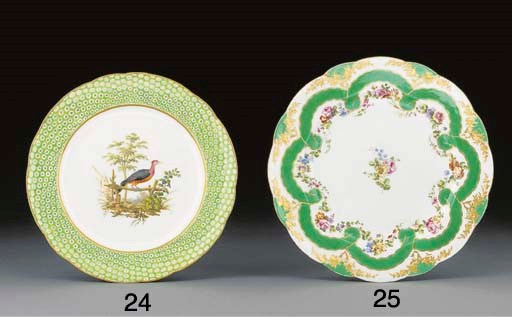 A Sevres ornithological plate, probably from the Auckland Service