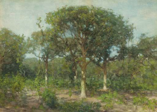 Willem Bastiaan Tholen (DUTCH, 1860-1931)