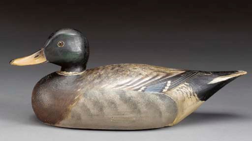 A MALLARD DRAKE