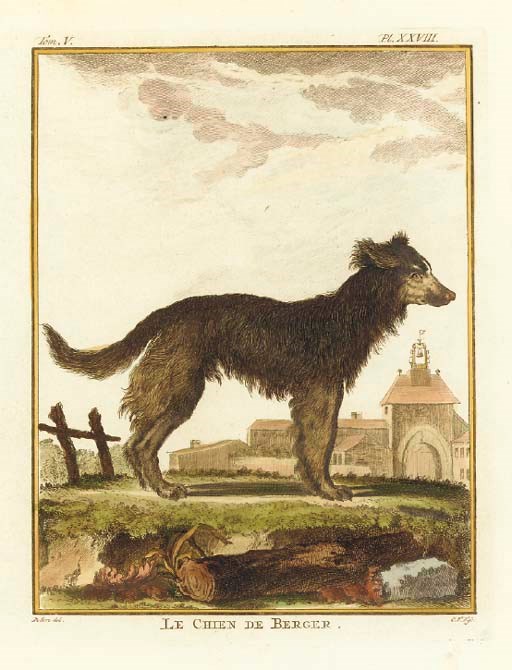 GEORGES COMPTE DE BUFFON [EDITOR] (1707-1788)