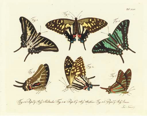 Carl Gustav Jablonsky (1756-1787)