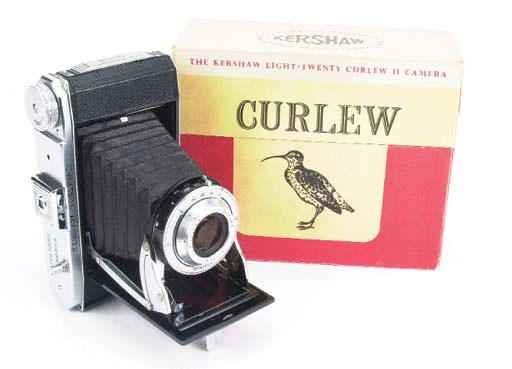 Curlew III no. 3/7894