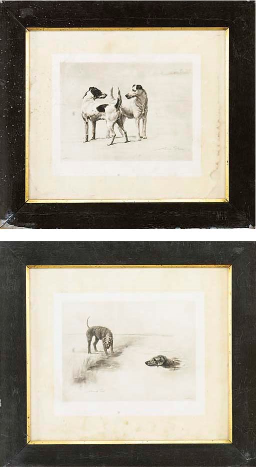 DOGS PLAYING (JACK RUSSELS AND BEDLINGTON TERRIERS)