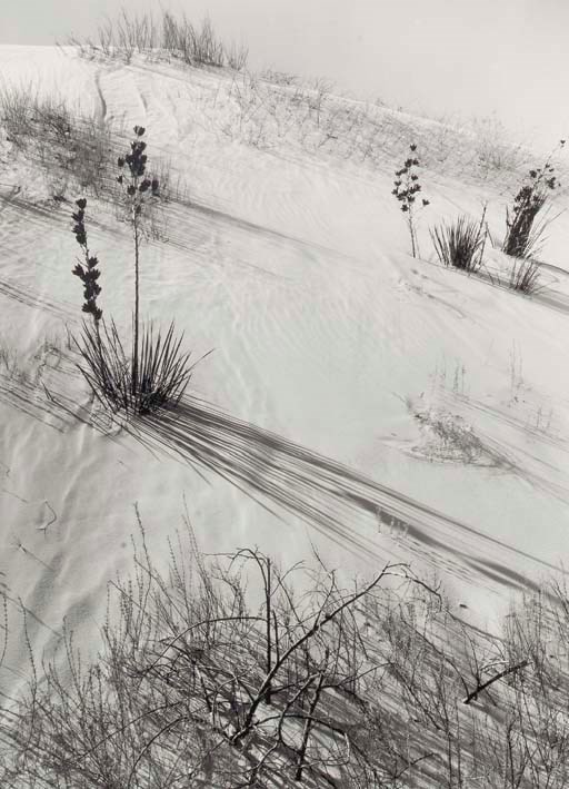 ANSEL ADAMS