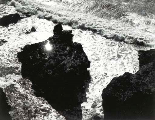 MINOR WHITE