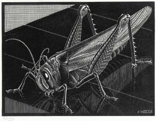 MAURITS CORNELIS ESCHER