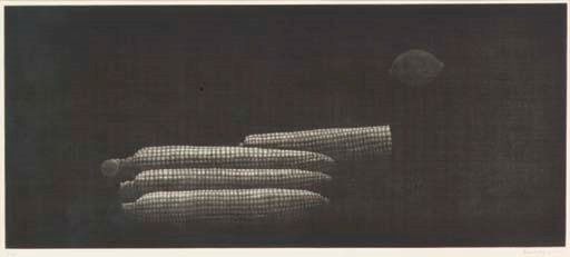 YOZO HAMAGUCHI