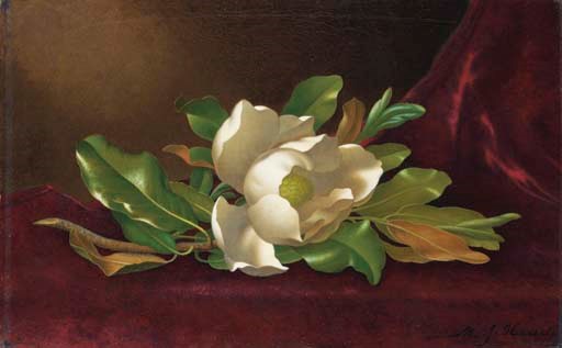 Martin Johnson Heade (1819-1904)
