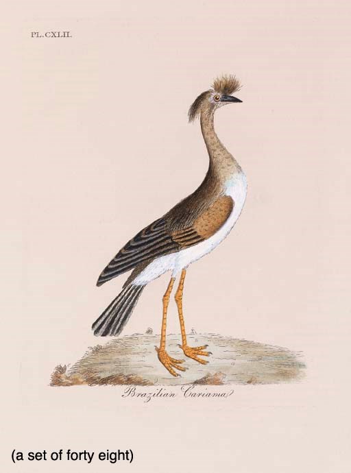 Attributed to William Hayes (1735-1802)